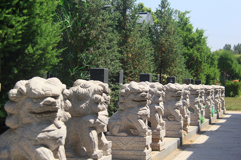 廊坊万桐园公墓墓区环境