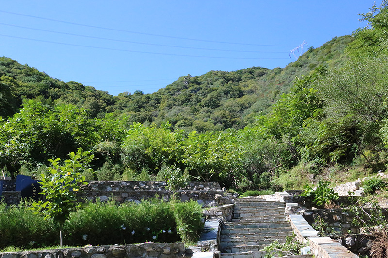 九公山长城纪念林原生态环境