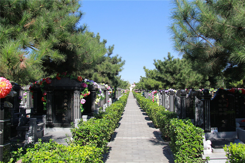 朝阳陵园墓区环境