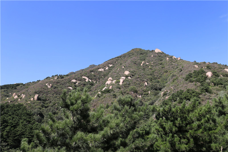 八达岭陵园远景