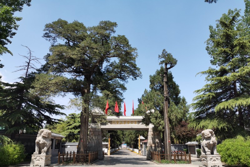八宝山革命公墓