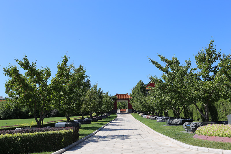 天寿陵园树葬景观