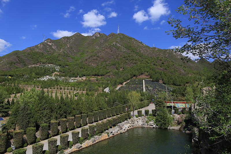 十三陵景仰园墓区景观