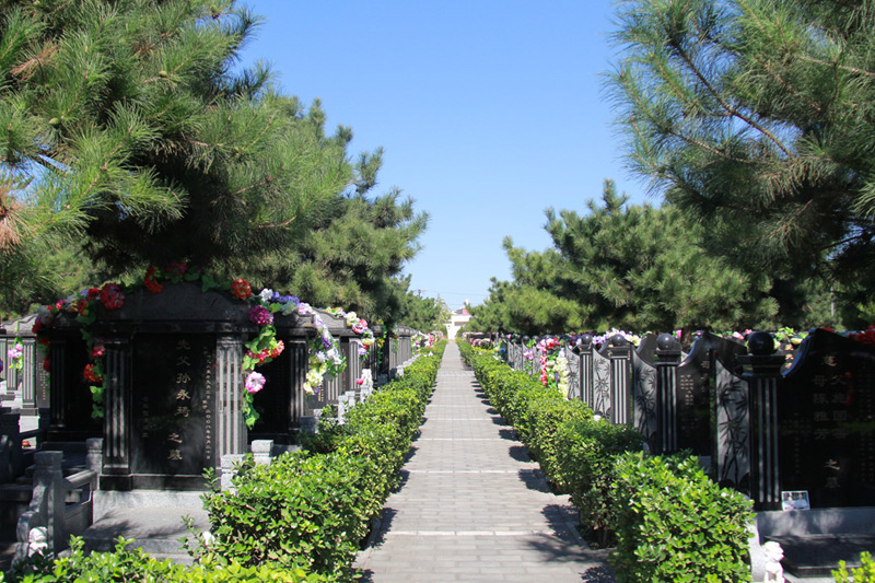 朝阳陵园墓区景观