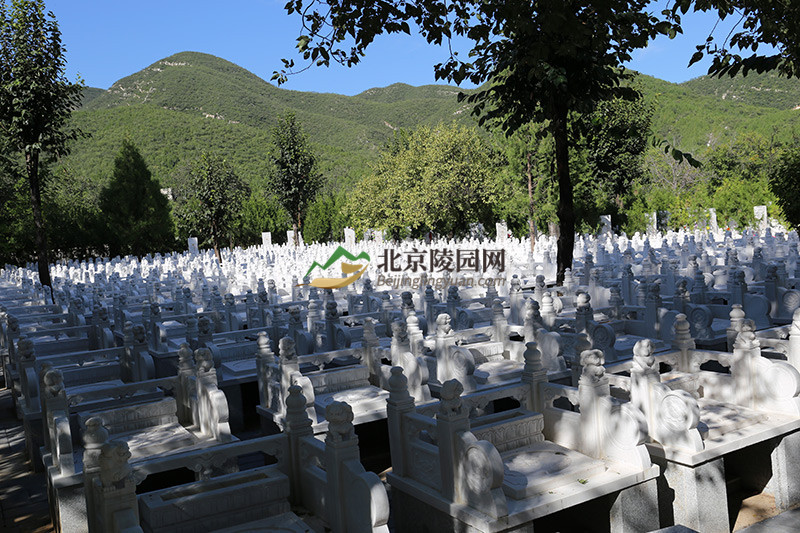 华夏陵园墓区景观