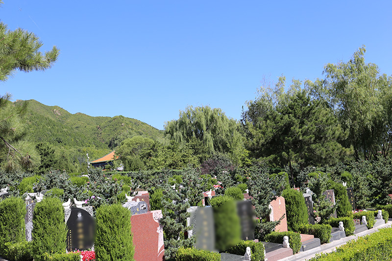 天寿陵园墓区景观