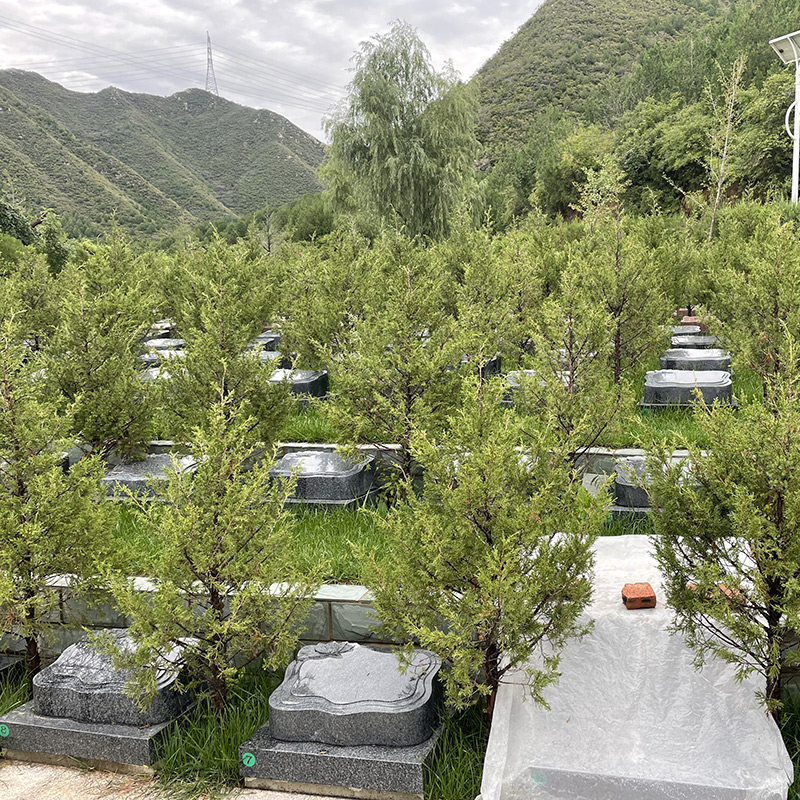 景仰园生态卧碑