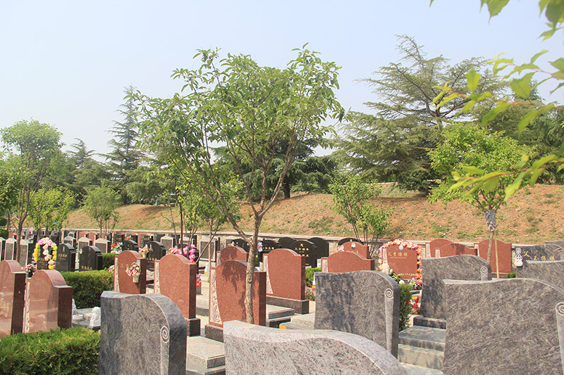 北京房山陵园公墓静安墓地风水怎么样有静安墓园的预约电话吗