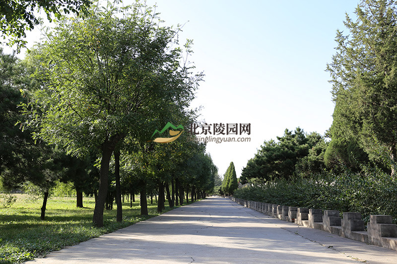 太子峪陵园绿化