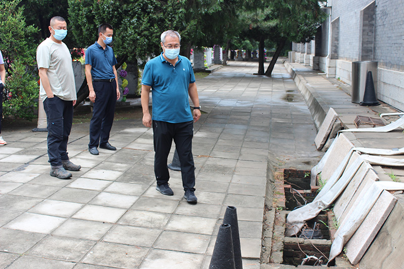 殷局长一行检查排水设施现场