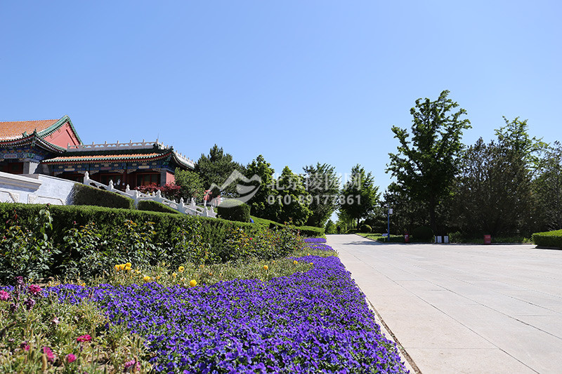 天寿陵园绿化景观