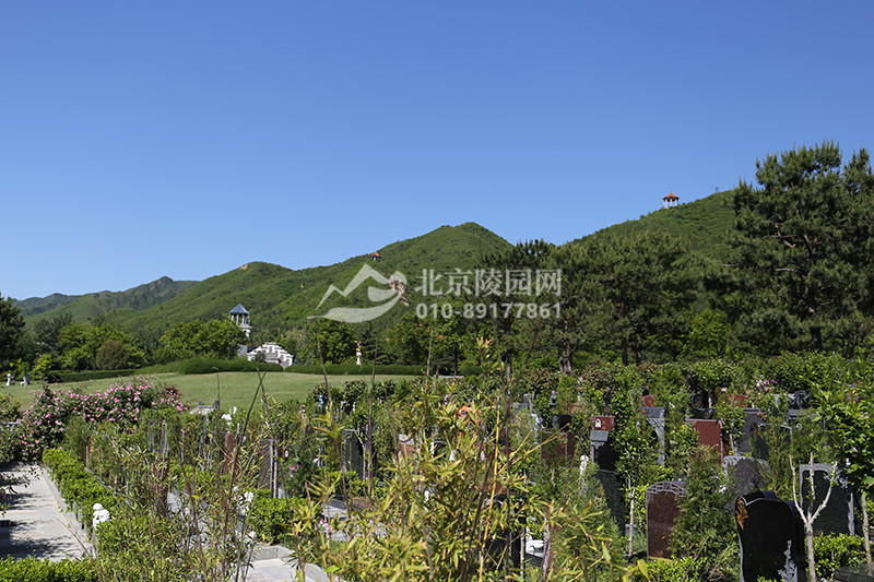 天寿陵园墓区景观