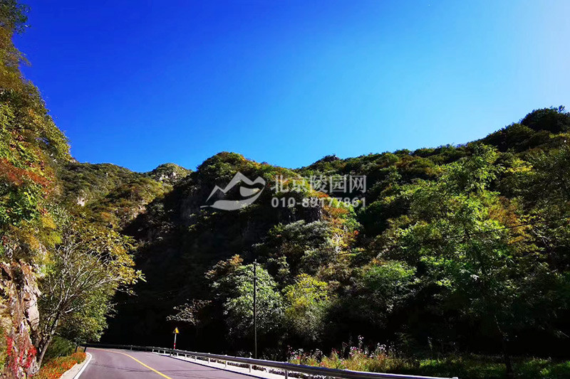 九公山成成纪念林秋日风光