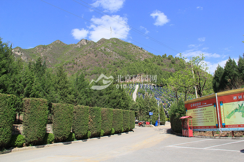 景仰园陵园墓区道路