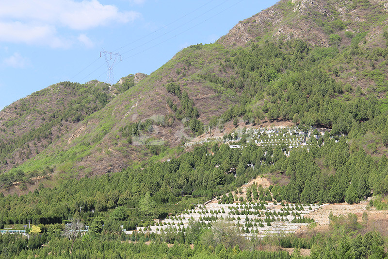 十三陵景仰园墓区景观