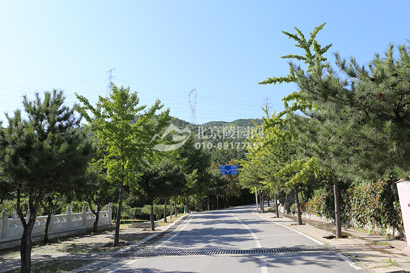 万佛华侨陵园园区道路实拍
