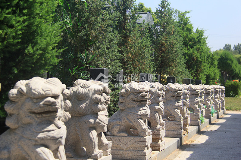 万桐园公墓石狮子景观