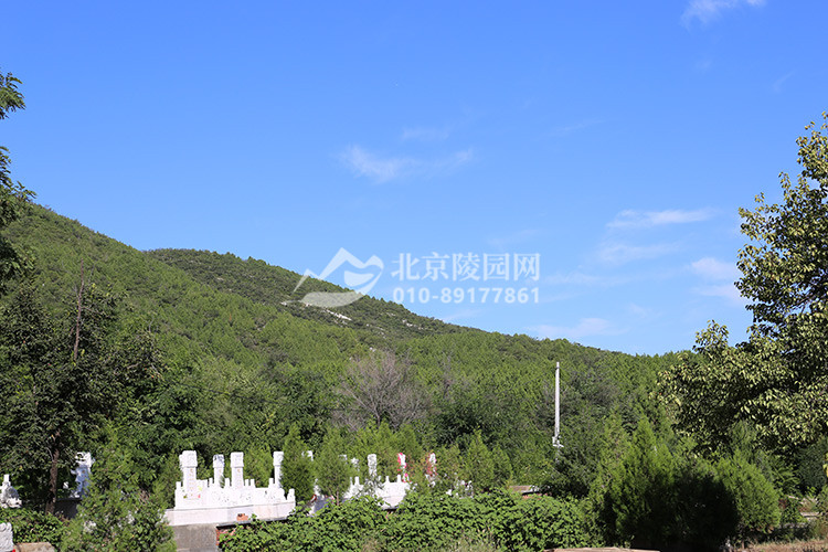 华夏陵园墓区绿化
