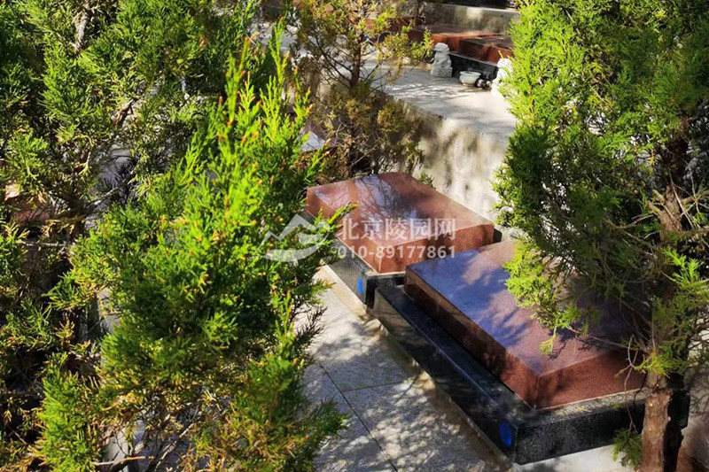 十三陵景仰园树葬