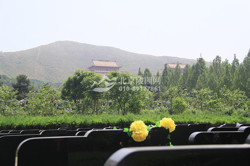 灵山宝塔陵园墓区景观