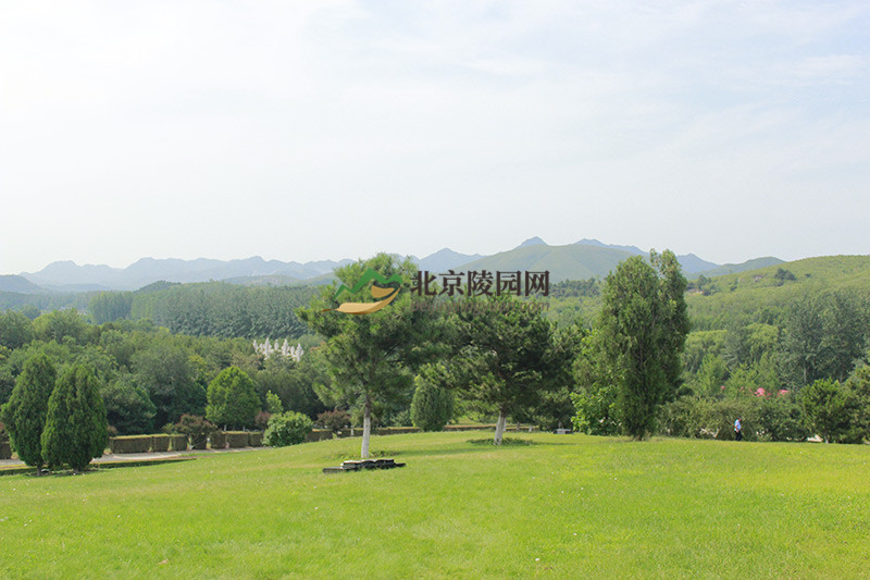 华龙皇家陵园园区绿化