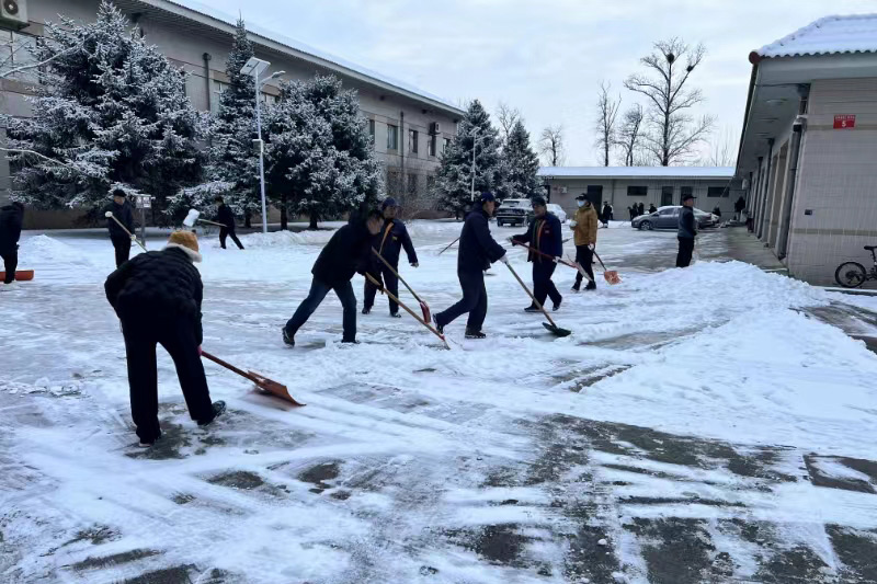 铲雪活动实拍