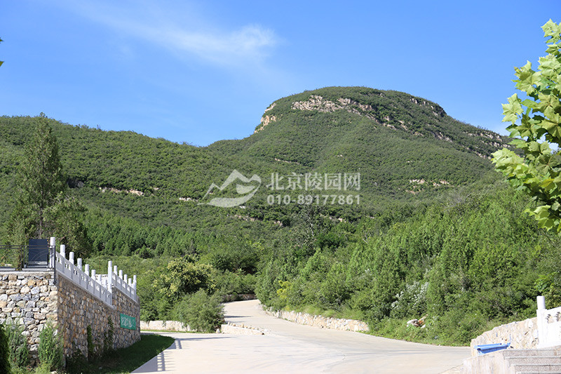 墓地周边山势
