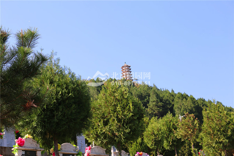 归山陵园墓区绿化