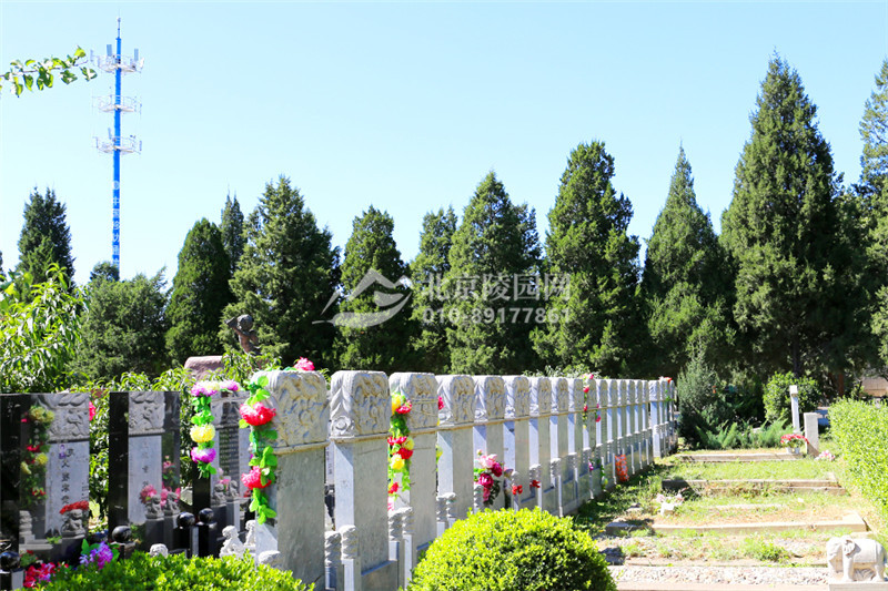 福田公墓墓区实拍