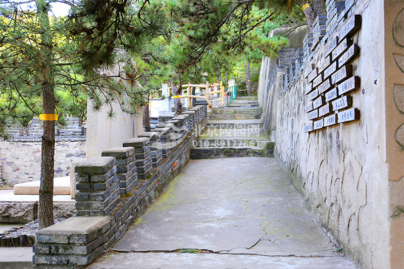 金山陵园环境
