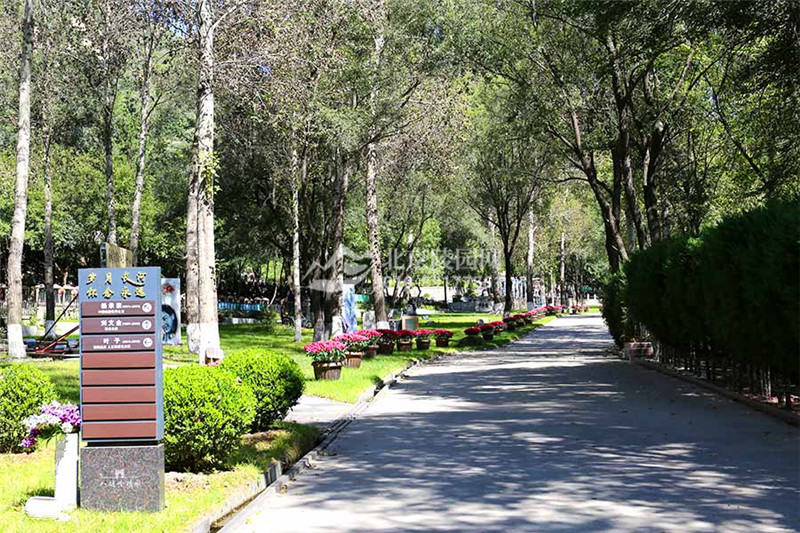 八达岭陵园绿化景观