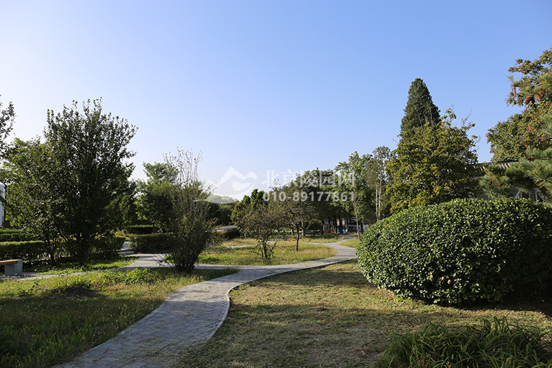 太子峪陵园绿化