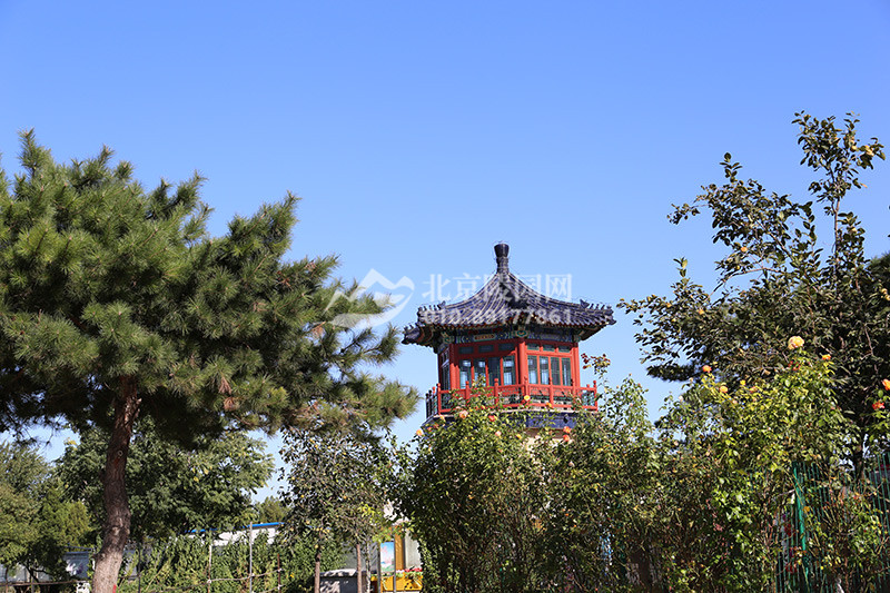 八宝山人民公墓