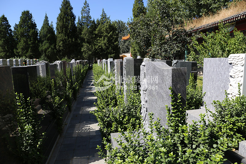 福田公墓墓区实拍