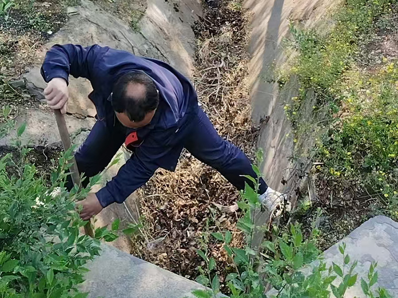 疏通排水沟渠