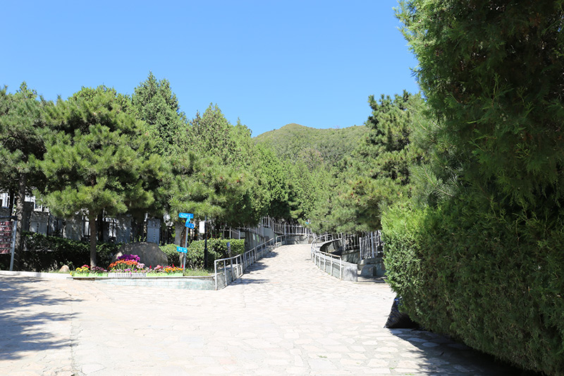 墓区道路
