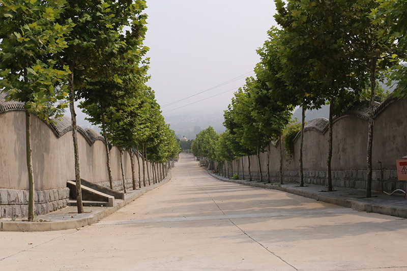 佛山陵园道路景观