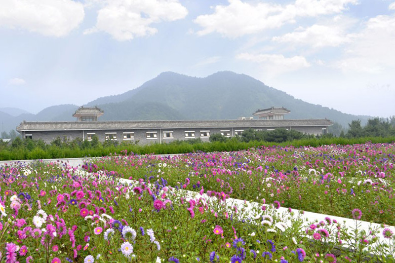 鲜花满园的绿化
