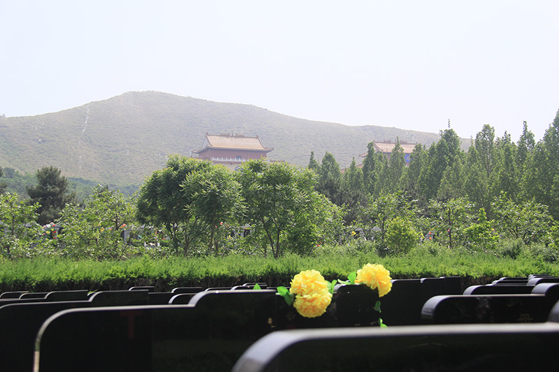 墓区实拍