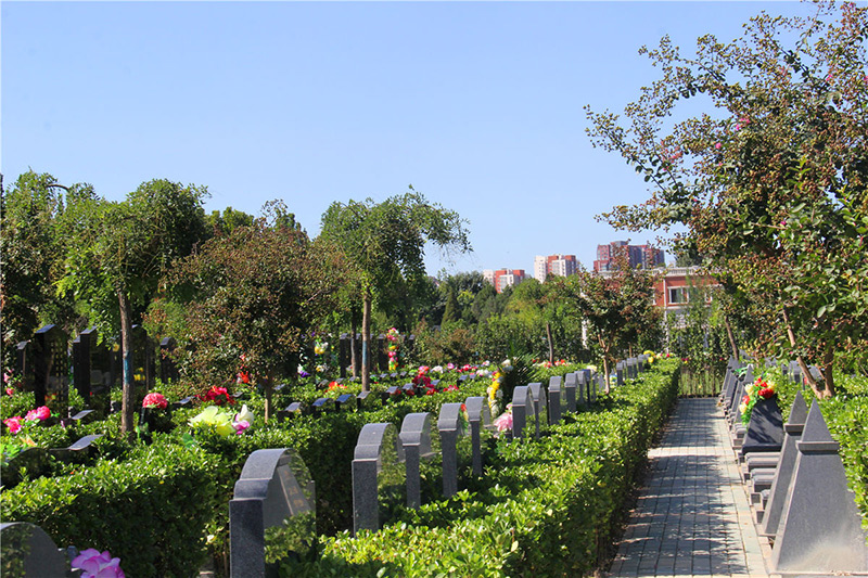 墓区绿化