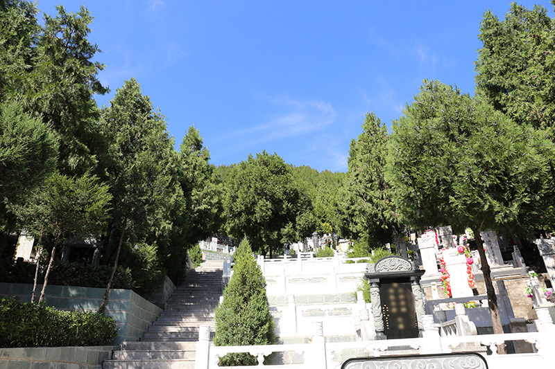 墓区实拍 墓区实拍