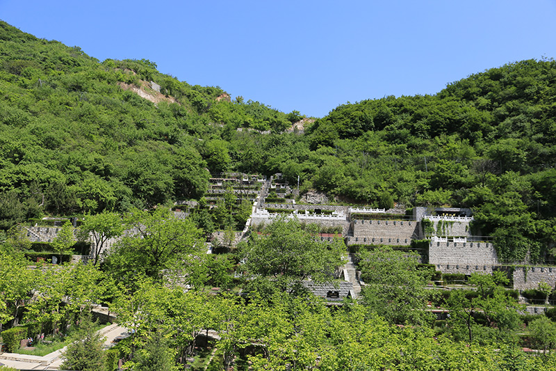 墓区实拍