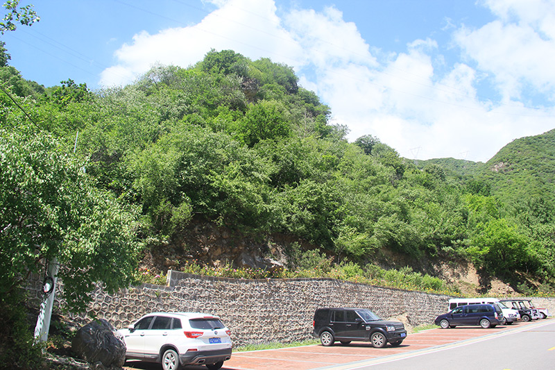 陵园停车场