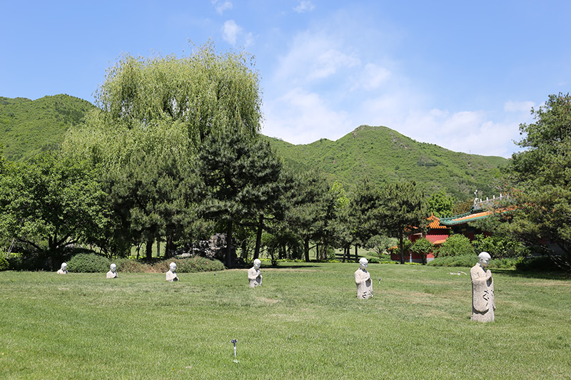 草坪绿化