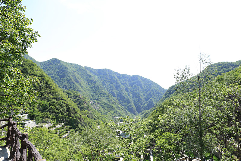 半山墓区实拍
