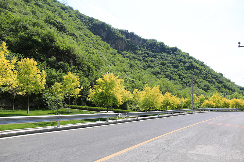 园区道路