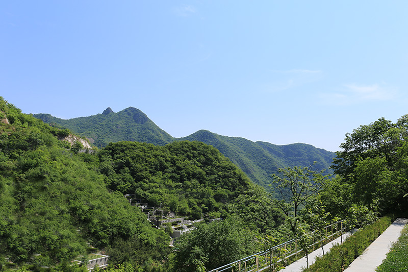 墓区实拍