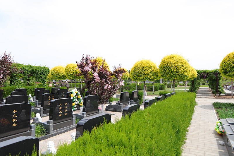 墓区绿化 墓区绿化