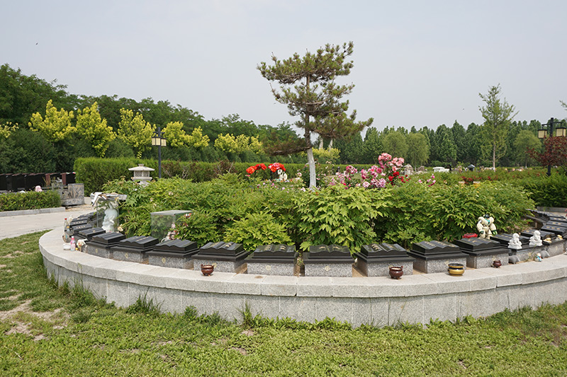 花坛葬实拍