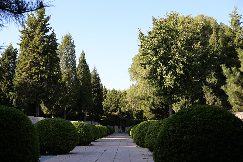 通惠陵园 通惠陵园